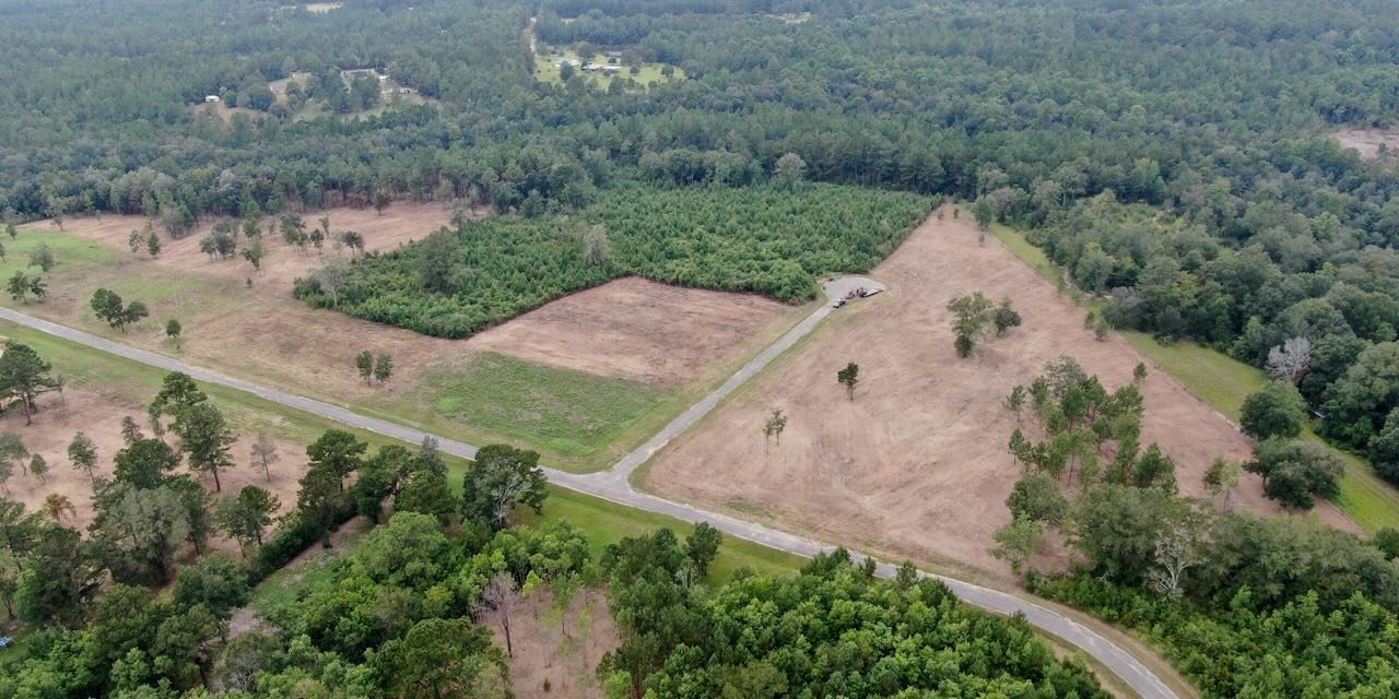 Cleared lot visual